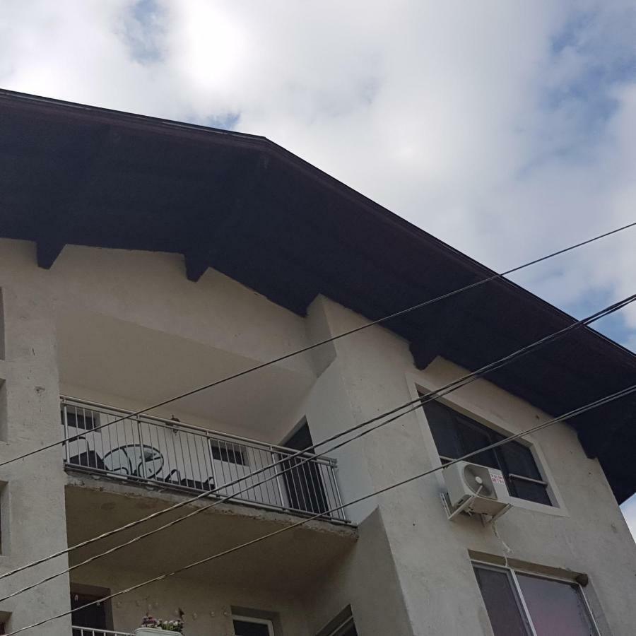 Guest House Ileana Saparewa Banja Exterior foto